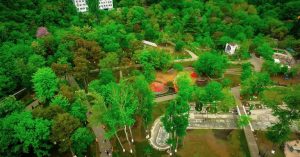 „მზიური“